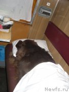 Превью фото № 148948