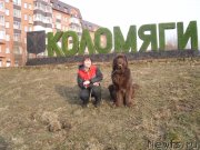 Превью фото № 148951