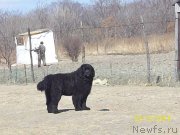 Превью фото № 148953