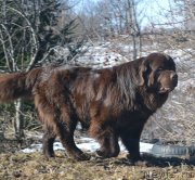 Превью фото № 148983