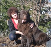 Превью фото № 148984