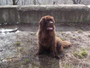 Превью фото № 149030