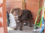 Превью фото № 149044