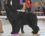 Превью фото № 149067