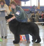 Превью фото № 149070