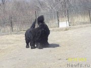 Превью фото № 149097