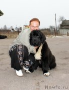 Превью фото № 149208