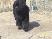 Превью фото № 149215