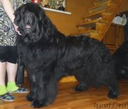 Превью фото № 149288