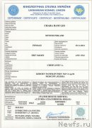 Превью фото № 149351