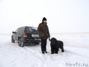 Превью фото № 149374