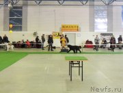 Превью фото № 149377