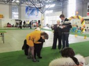 Превью фото № 149378