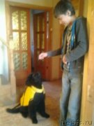 Превью фото № 149407