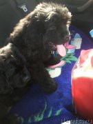 Превью фото № 149414