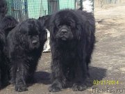 Превью фото № 149443