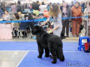 Превью фото № 149525