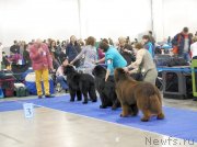 Превью фото № 149528