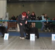 Превью фото № 149585