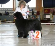 Превью фото № 149642