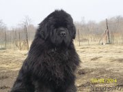 Превью фото № 149656