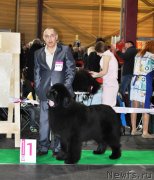 Превью фото № 149674