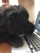 Превью фото № 149678