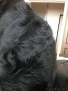 Превью фото № 149679