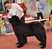 Превью фото № 149687