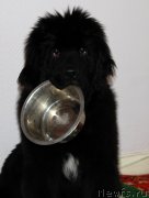 Превью фото № 149693