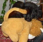 Превью фото № 14973