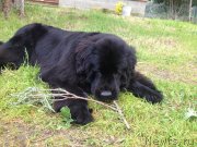 Превью фото № 149752