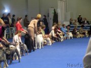 Превью фото № 149793