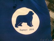 Превью фото № 149803