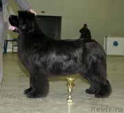 Превью фото № 149804