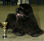 Превью фото № 149806