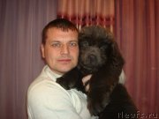 Превью фото № 149838