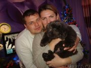 Превью фото № 149839