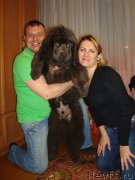 Превью фото № 149841