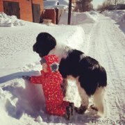 Превью фото № 149855