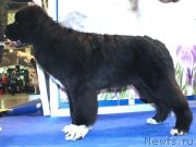 Превью фото № 149861