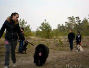 Превью фото № 149896