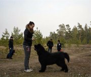 Превью фото № 149897