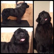 Превью фото № 149945