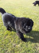 Превью фото № 149948