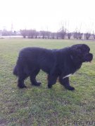 Превью фото № 149949