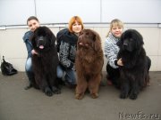 Превью фото № 150095