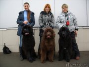 Превью фото № 150096