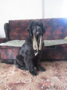 Превью фото № 150139