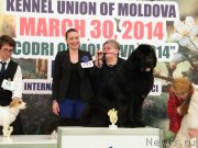 Превью фото № 150144